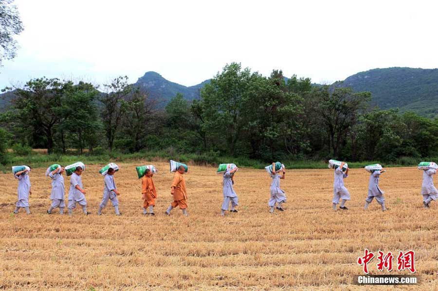 'Zen harvest' in Shaolin Temple