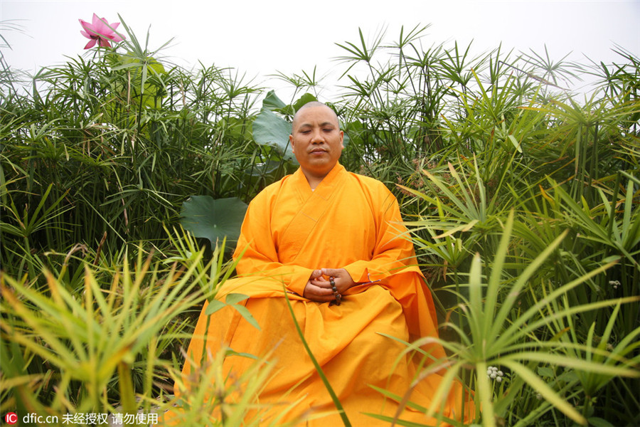 Monks seek tranquility inside lotus ponds