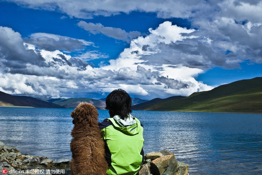 Man cycles the world with his dog to support animal care