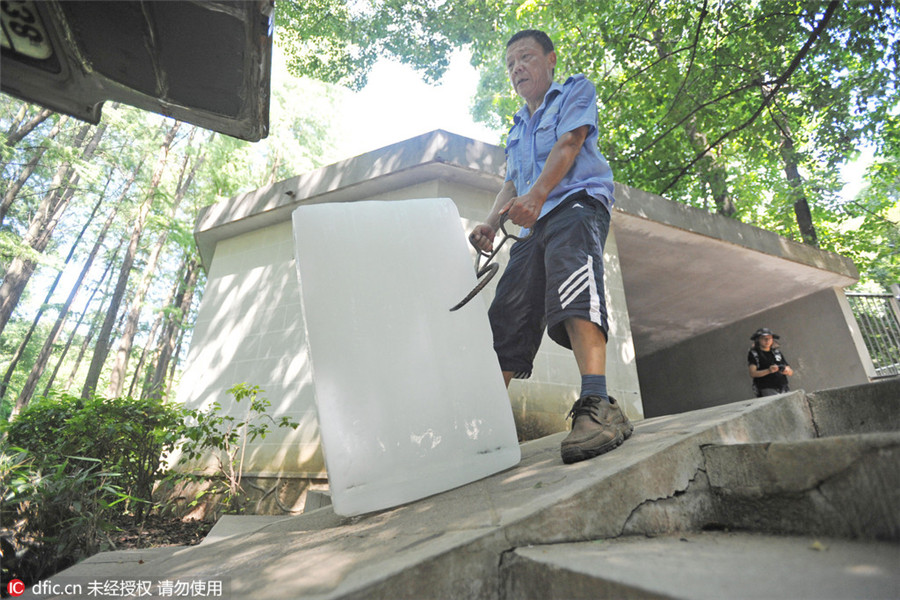 Animals look for ice, shade to beat heat in Hubei