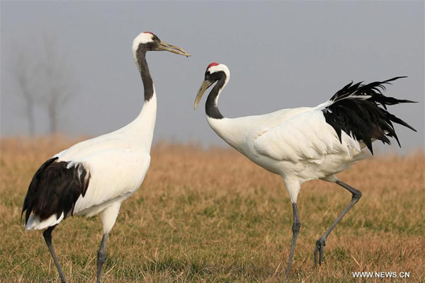 This Day, That Year: nature reserve