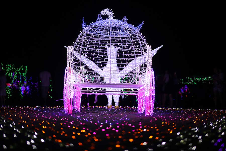 Millions of LED lights shine in E China