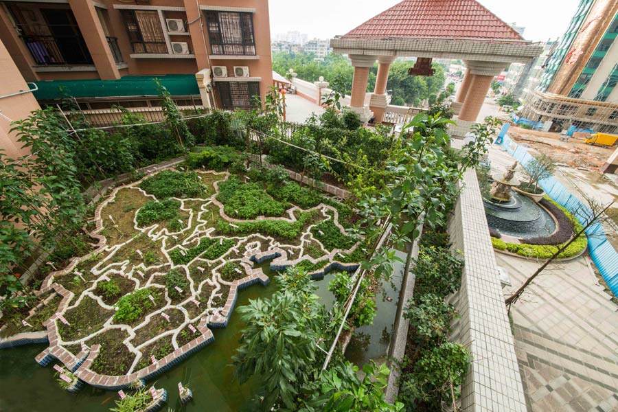 A retired teacher builds a miniature China map on his balcony