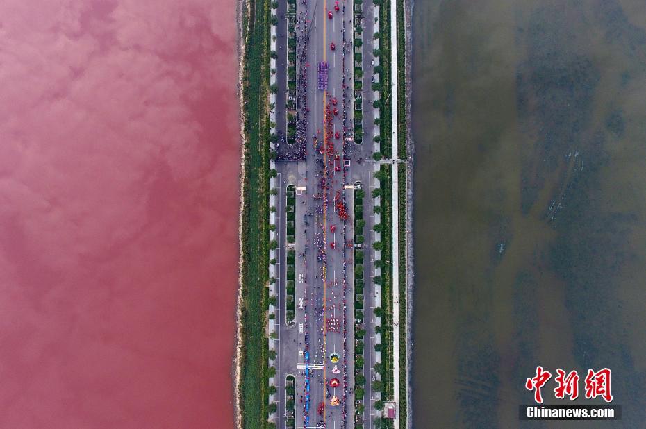 Ancient salt lake turns pink due to algae