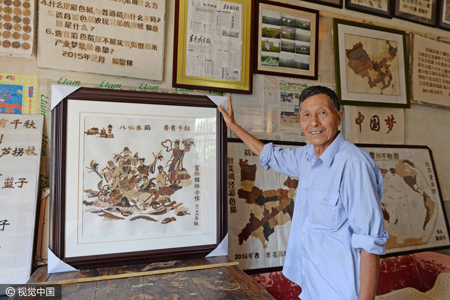 Elderly man creates map of China with colorful rice in Shanghai