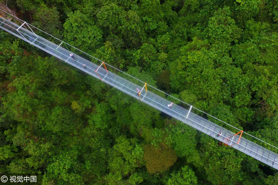 Look down if you dare: world's most vertigo-inducing glass skywalks