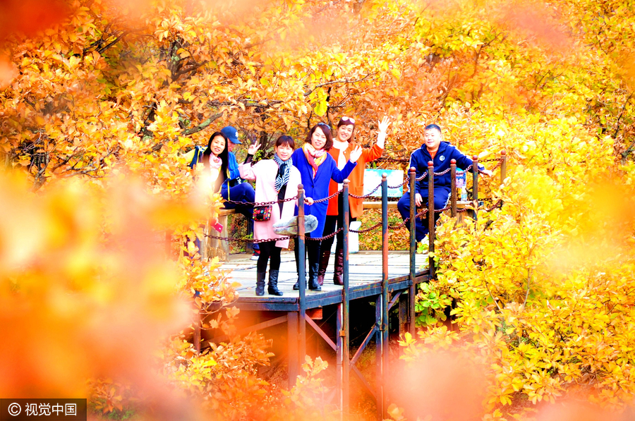 Autumn colors in China