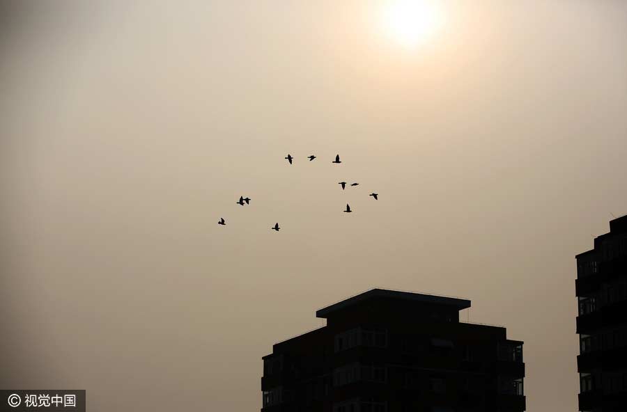 Heavy smog hits Beijing