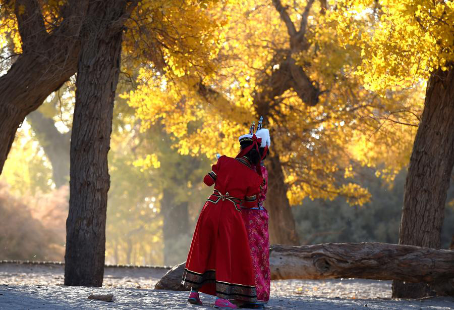 Ejin oasis in N China famous for diversiform-leaved poplar forests