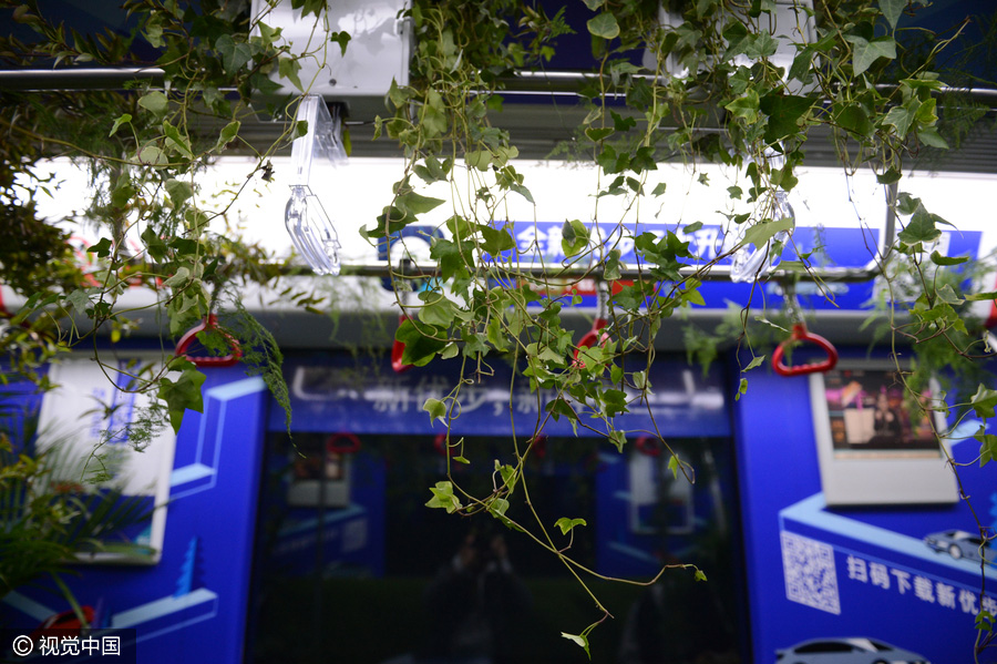 'Forest subway' in Hangzhou