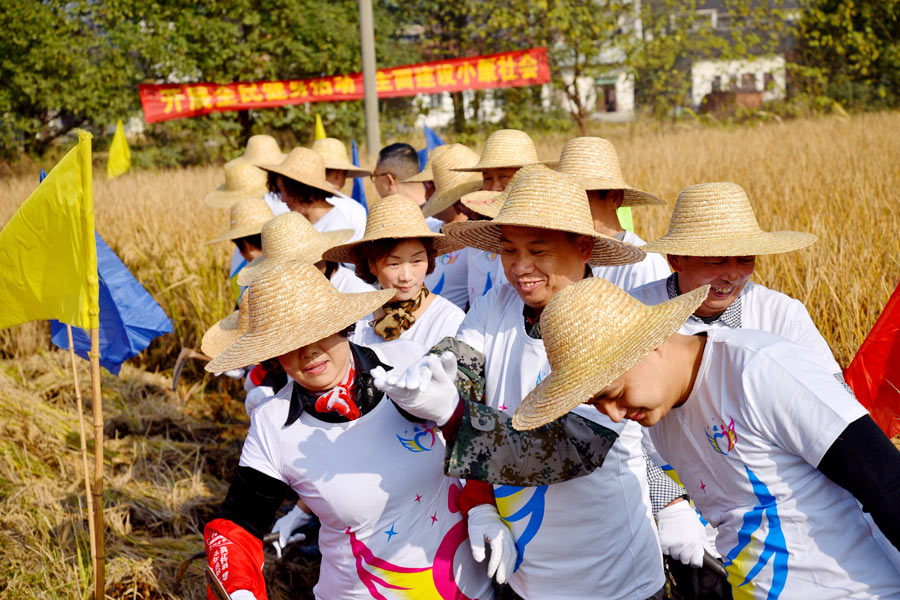 Villagers compete in rice harvest race