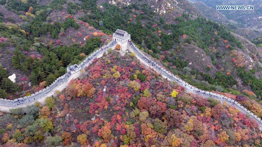 In pictures: Drone shots of the year