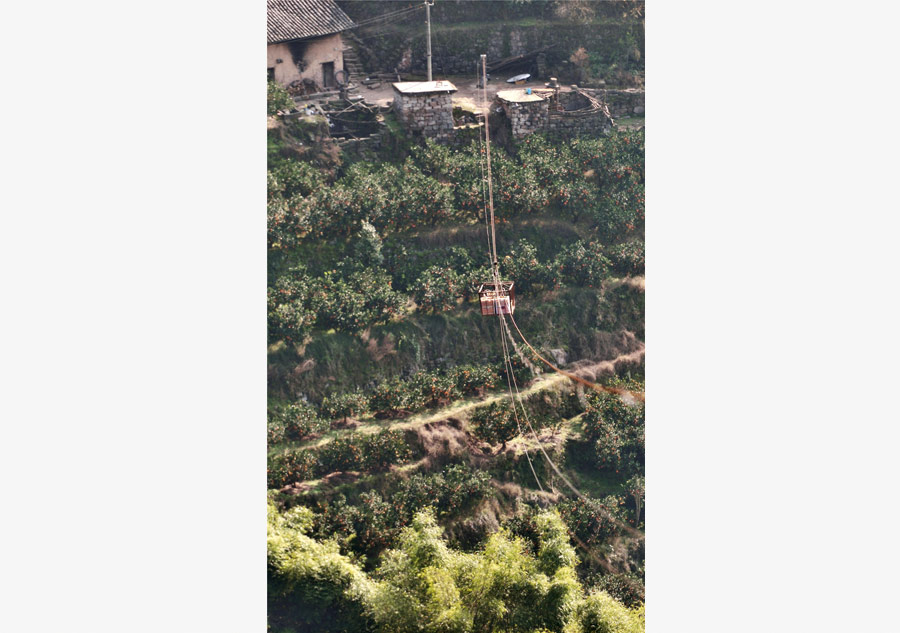 Cableway brings hope to orange farmers