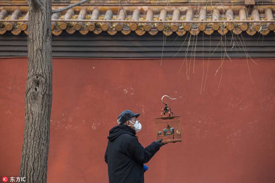 Severe smog envelops Beijing