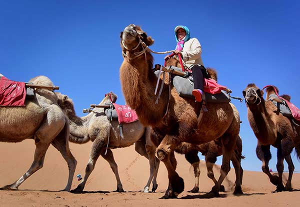 Determined scientist studies desert for 30 years