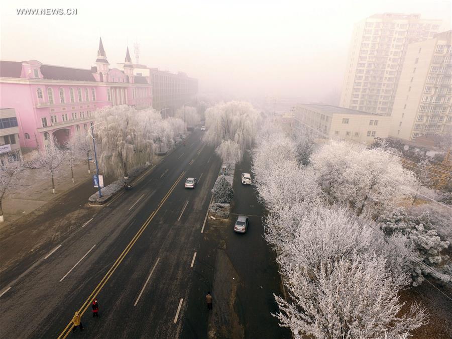 Scenery of rime in North China's Hebei