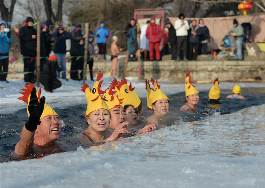 Winter swimmers celebrate Year of the Rooster