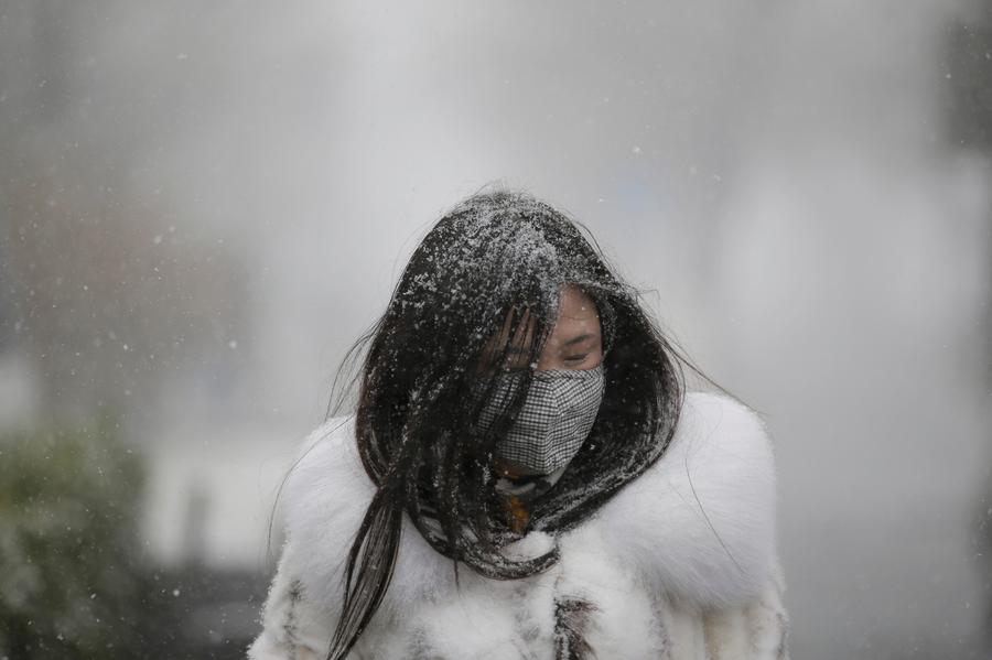 Beijing welcomes first snow in Year of the Rooster