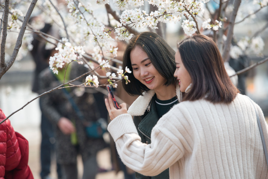 Beijing in bloom: A sea of flowers in spring