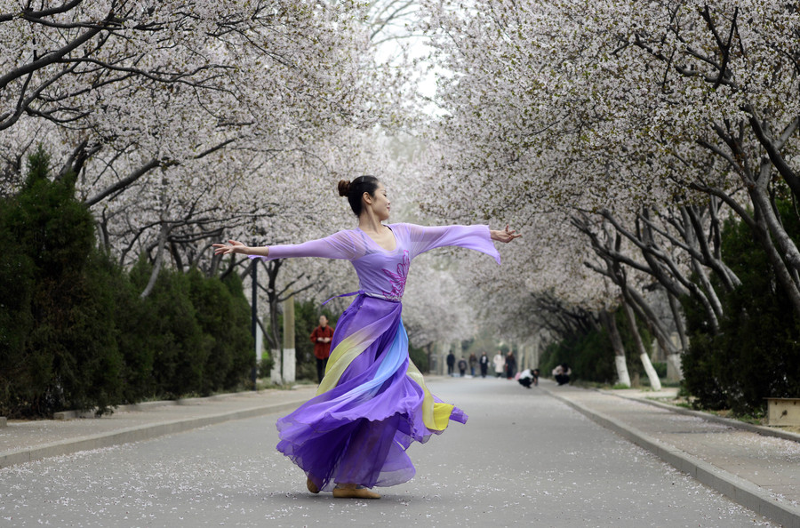 Dancing amid sea of flowers in E China