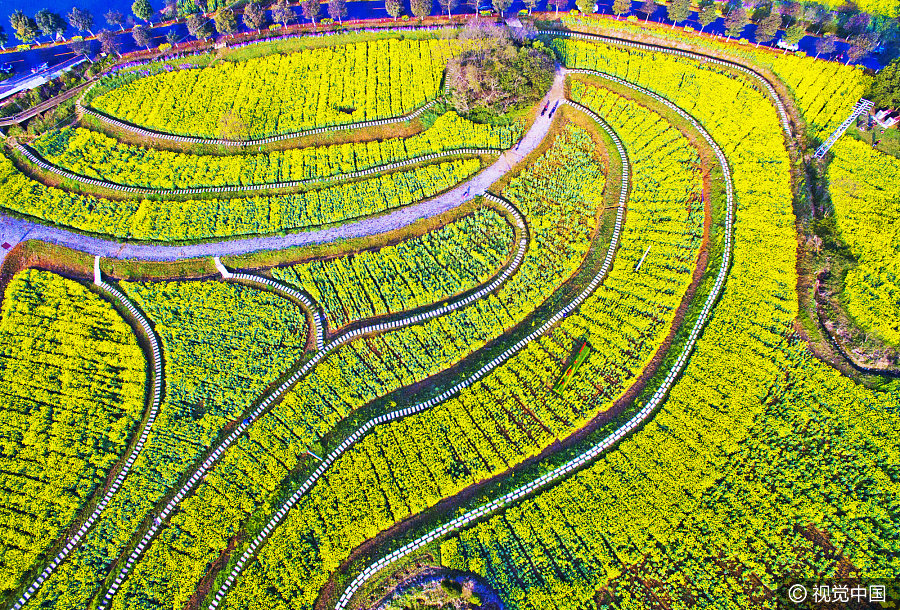 Ten photos from across China: March 24-31