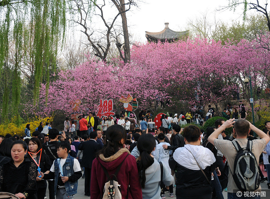 Tracing nationwide Tomb-sweeping Day travel rush