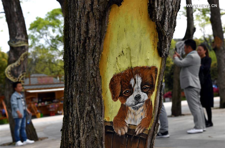 Fantastic 'tree paintings' seen in Anhui province