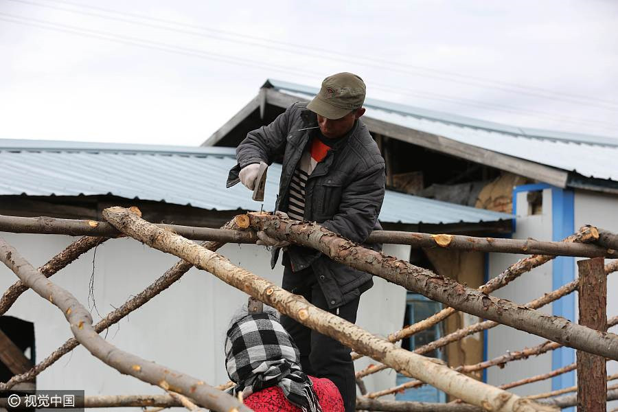 Population in a village drops to 18 in NE China