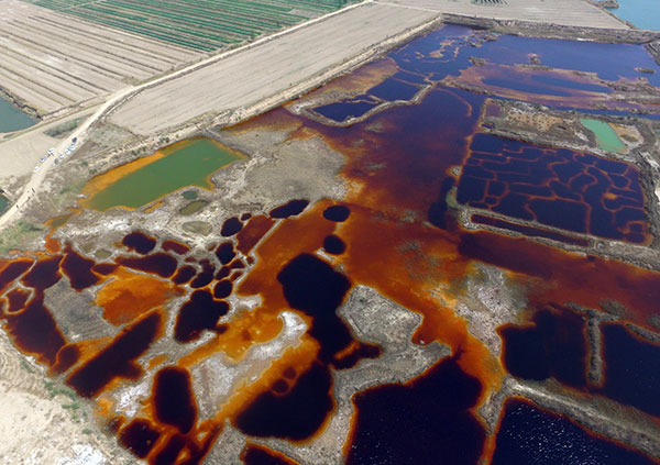 Ministry to oversee cleanup of dump sites in Hebei, Tianjin