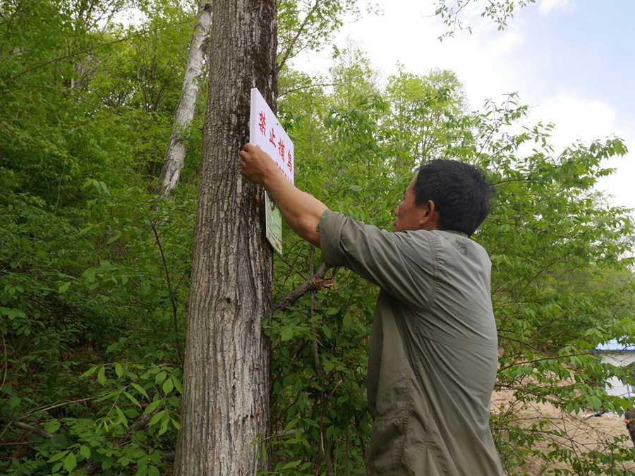 Teacher promotes importance of exposure to nature