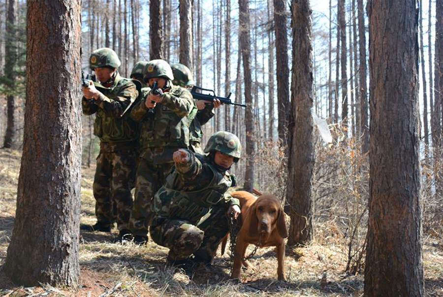 Bomb-sniffing dog retires after 7 years' service