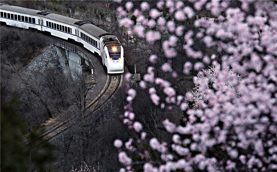 Tracking the tracks: China's high-speed rail network