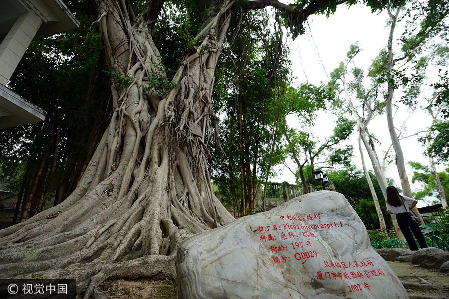 China's Gulangyu historic intl settlement enters world heritage list