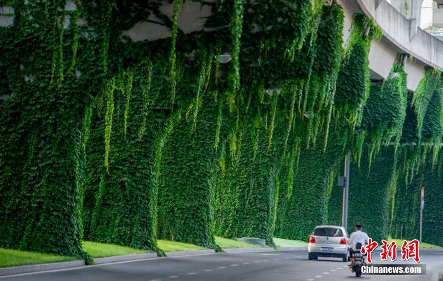 Green bridge a soothing sight in Chengdu