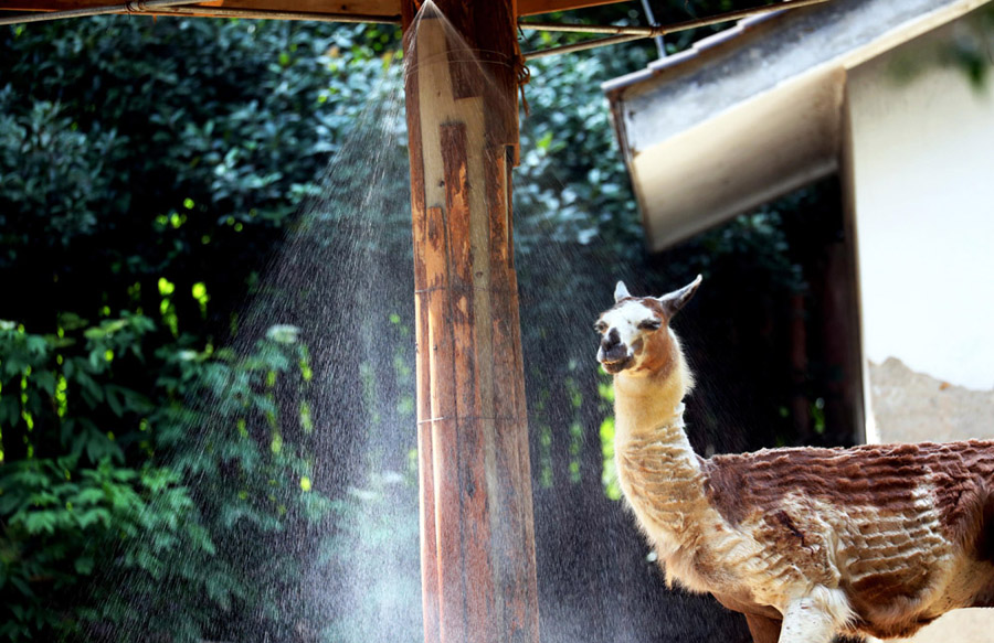 Heat wave sweeps across China