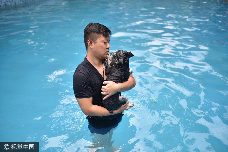 Man builds 2,000 square meters swimming pool for dogs