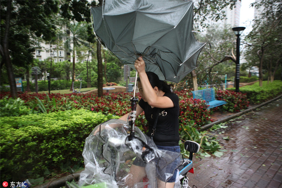 Typhoon Hato brings strong winds, rain as it lands in South China