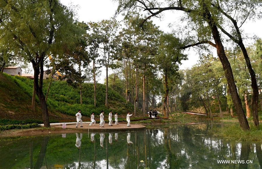 Central China tai chi training centers attract hundreds of followers