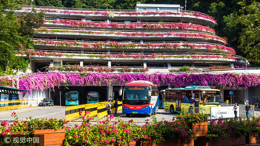 Azalea turns parking building into fairy world