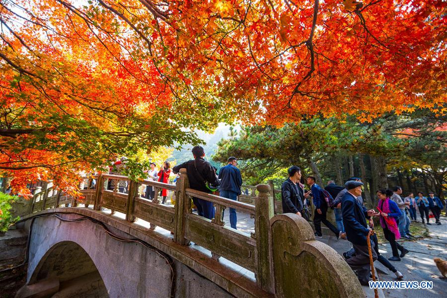 Red leaves of Lushan Mountain attract tourists