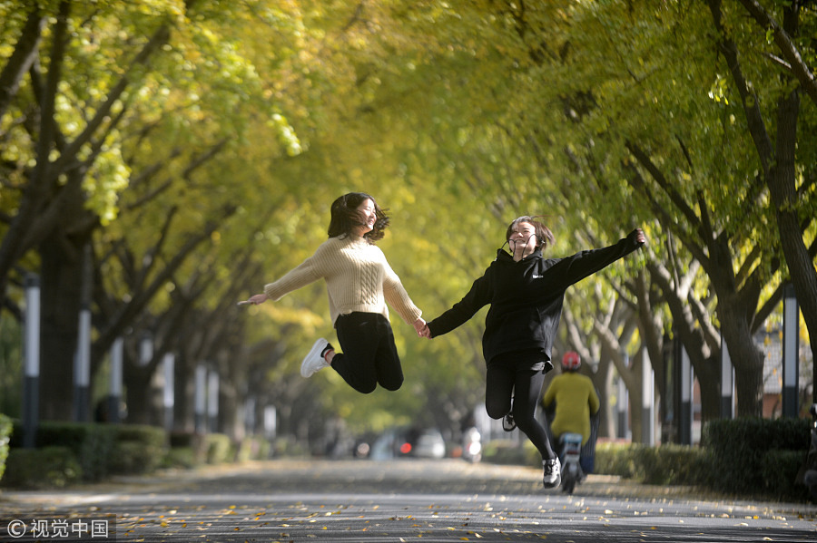 Fun with golden gingko leaves across China