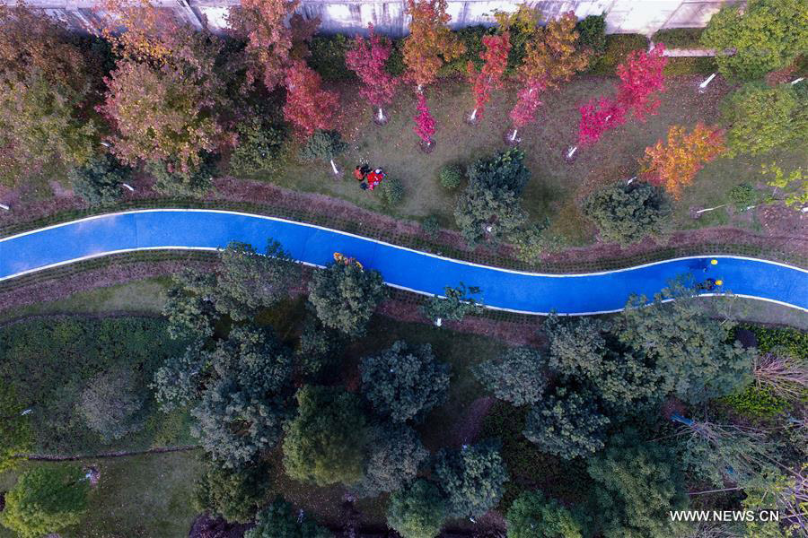 Blue roads offer people eco-friendly travel choice in E China