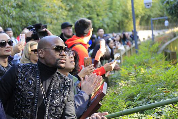 Floyd Mayweather adopts panda cub in Sichuan