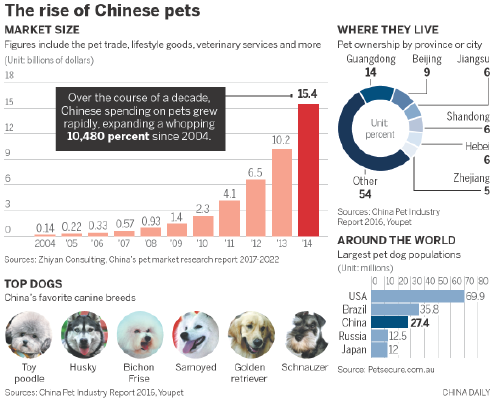 For many, dogs help fend off loneliness