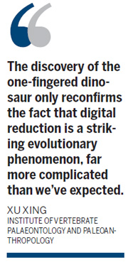 Dinosaur's single digit draws world attention