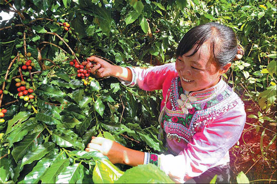 Wake up and smell the Chinese coffee