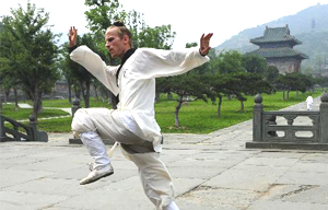 Bronze statue of kung fu star Bruce Lee on display in LA