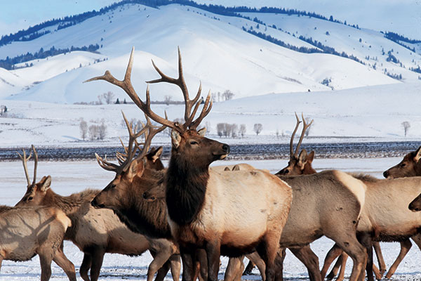 US photographer and Chinese artist present A Warm Winter