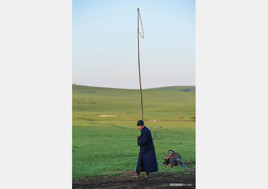 Photographer captures beautiful prairie landscapes