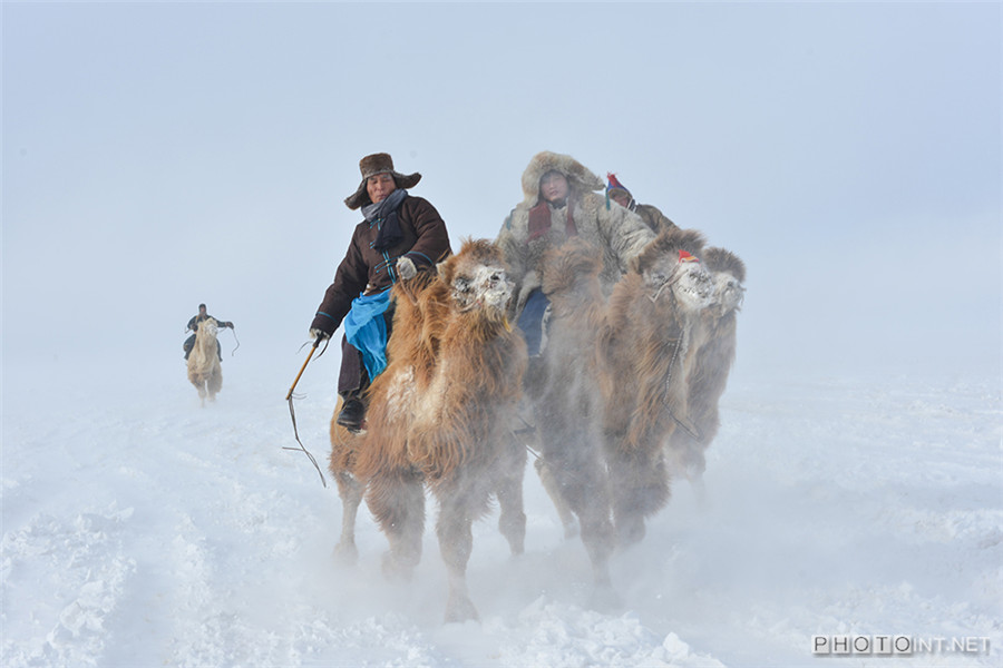 Photographer captures beautiful prairie landscapes